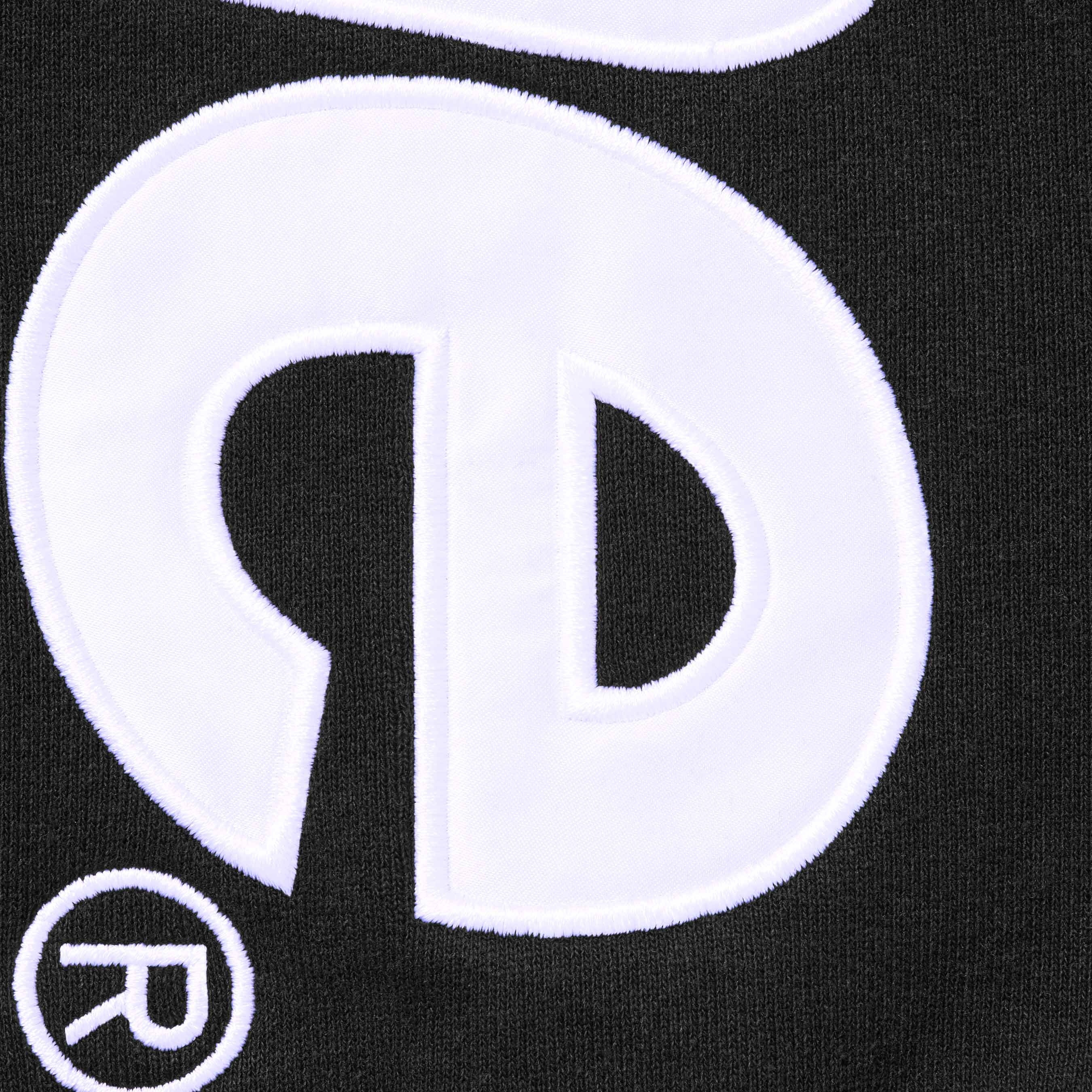 Satin Appliqué Sweatpant view 16